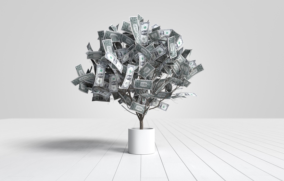 Cutting Through the Noise of 1,400 Fund Schemes
